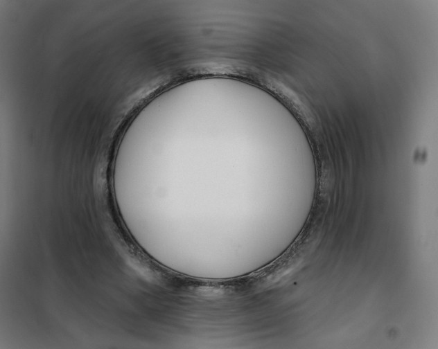 X0000101180394200807250944