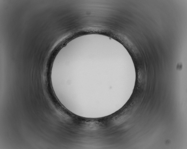 X0000101180396200807250944