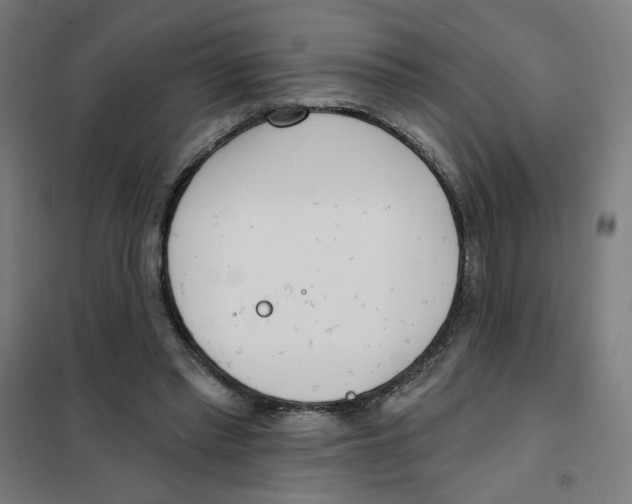 X0000101180397200807250944