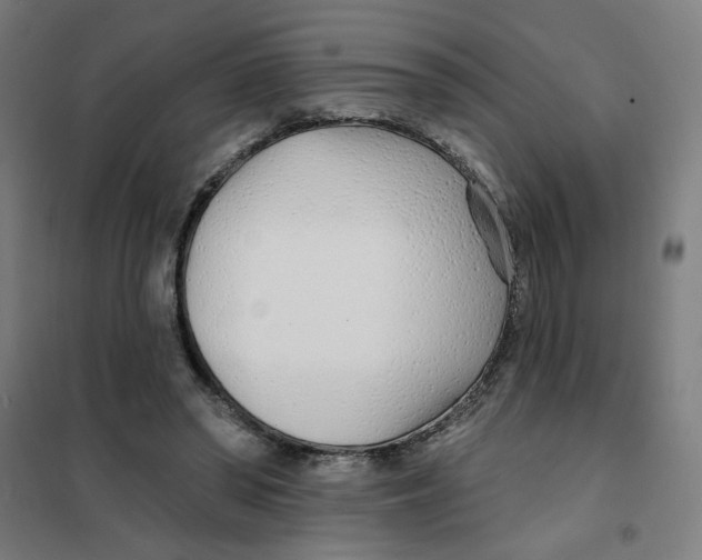 X0000101180398200807250944