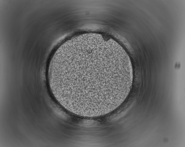 X0000101180399200807250944