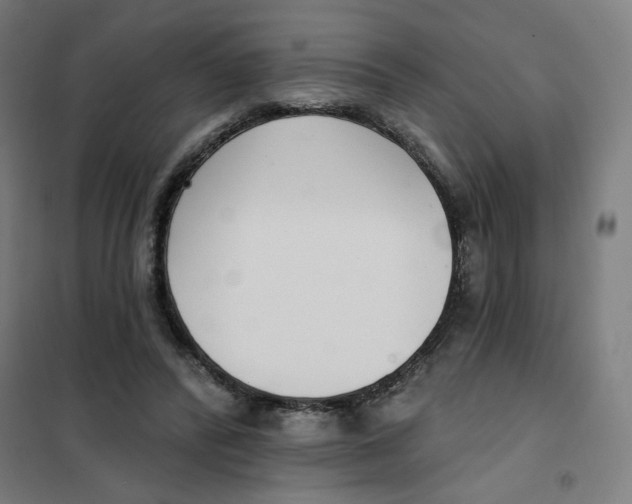 X0000101180400200807250944