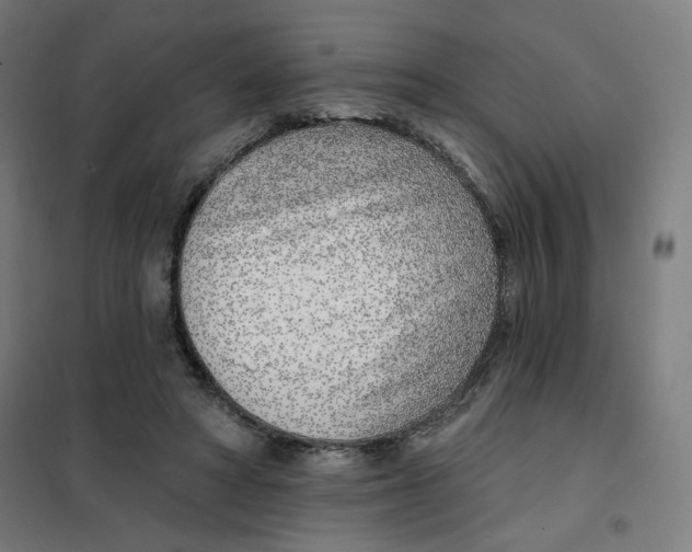 X0000101180402200807250944