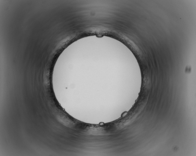 X0000101180403200807250944