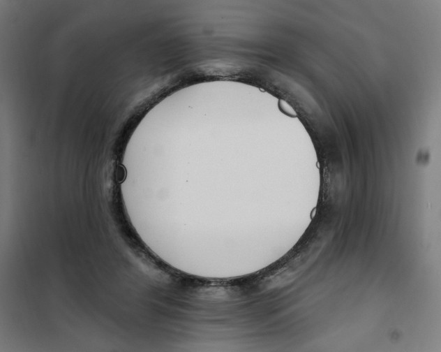 X0000101180404200807250944