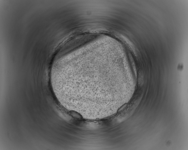 X0000101180405200807250944