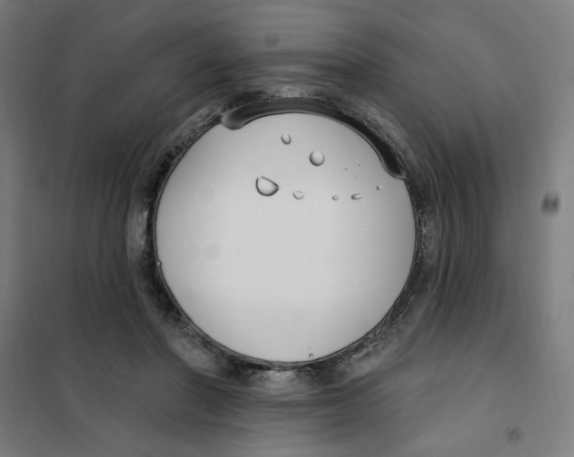 X0000101180406200807250944