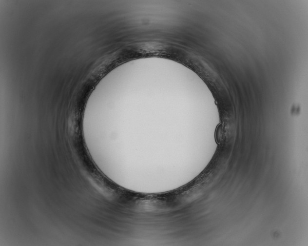 X0000101180408200807250944