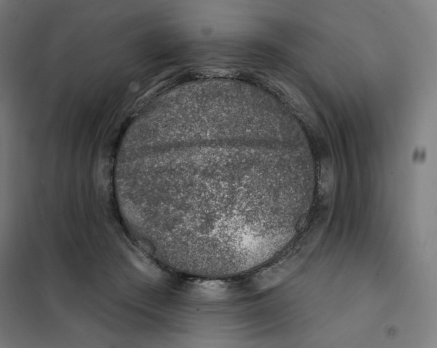 X0000101180409200807250944