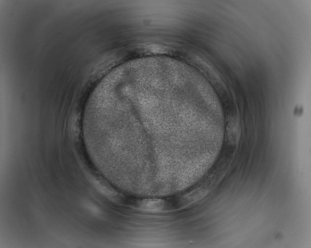 X0000101180410200807250944