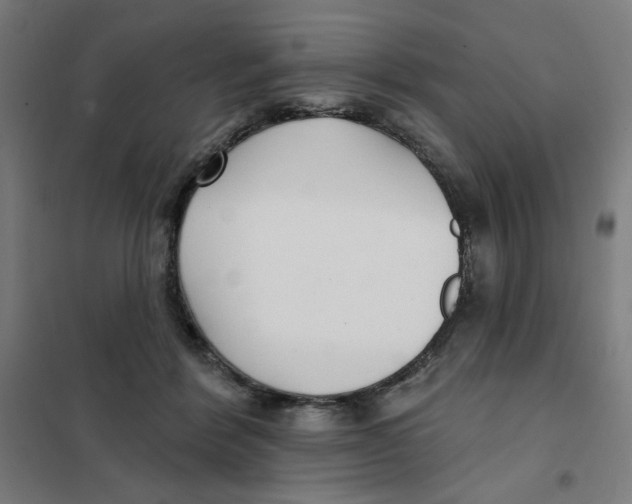 X0000101180412200807250944