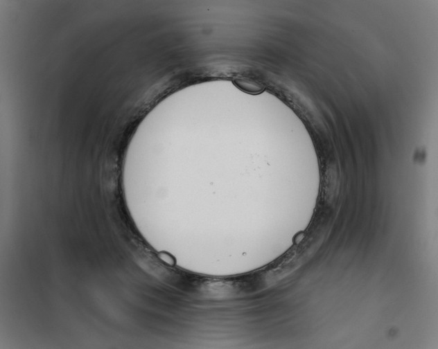 X0000101180413200807250944