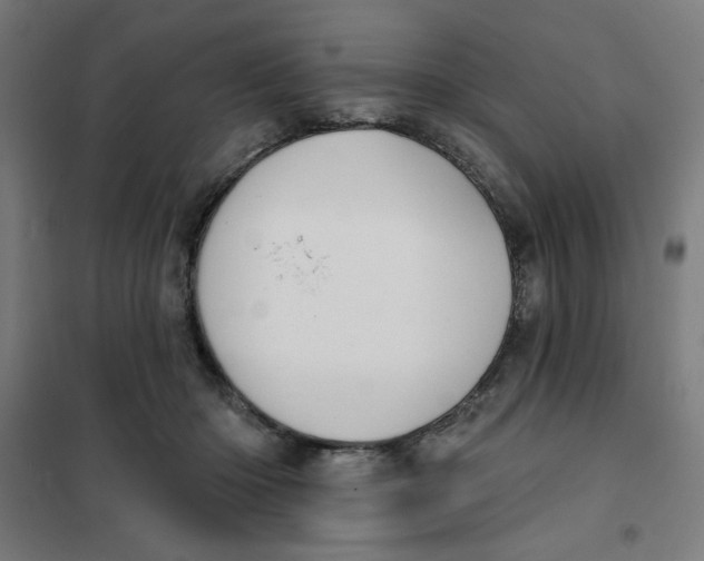 X0000101180414200807250944