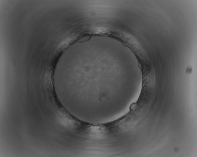 X0000101180415200807250944