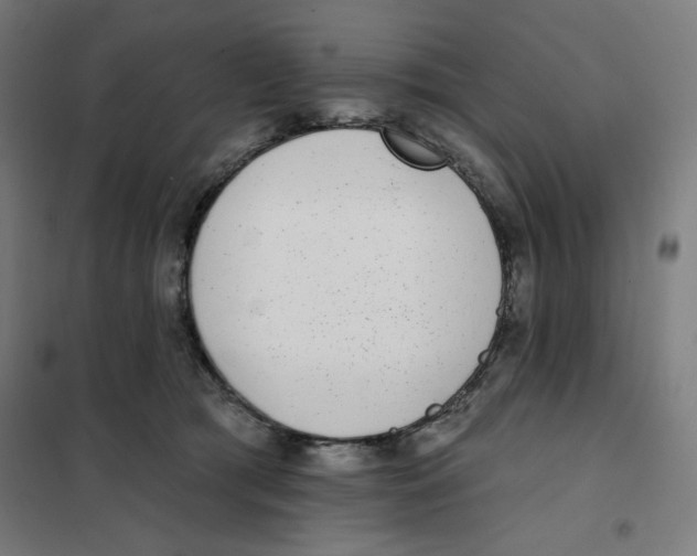 X0000101180417200807250944