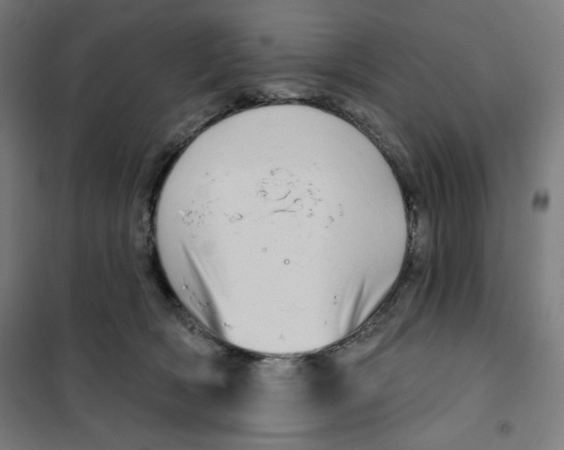 X0000101180418200807250944