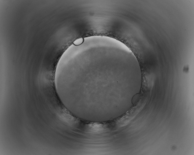 X0000101180419200807250944