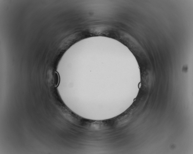 X0000101180420200807250944