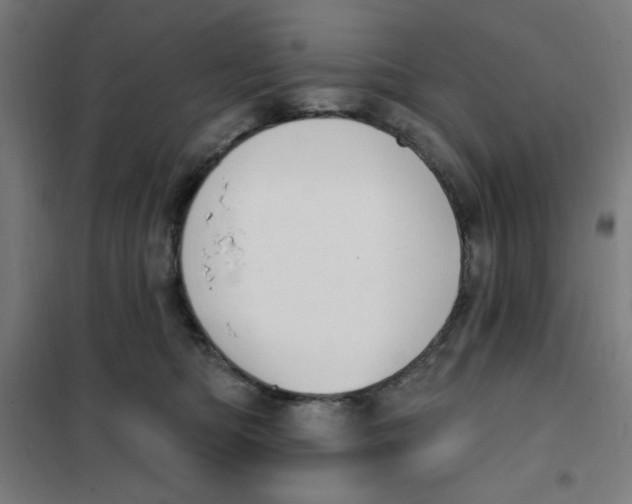 X0000101180422200807250944