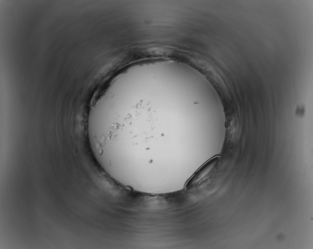 X0000101180424200807250944