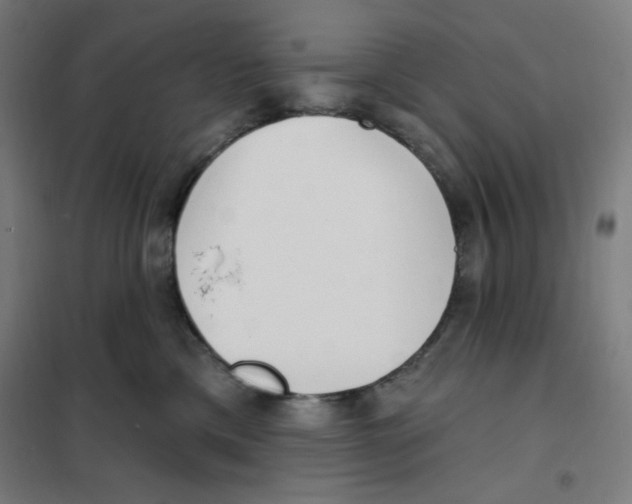 X0000101180425200807250944