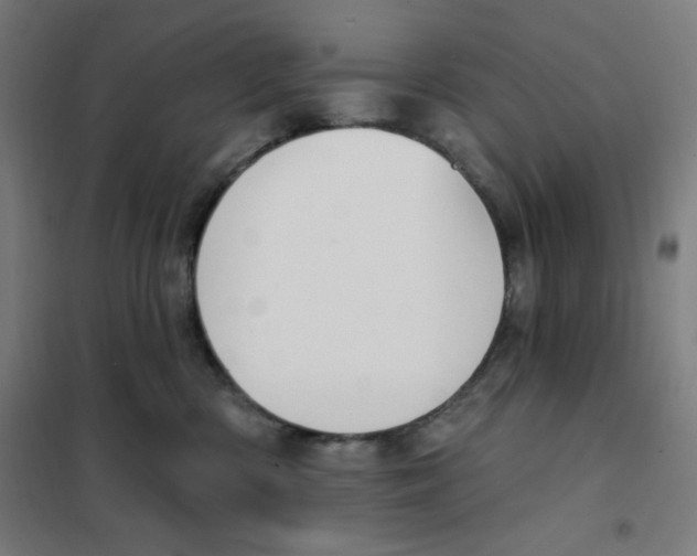 X0000101180426200807250944