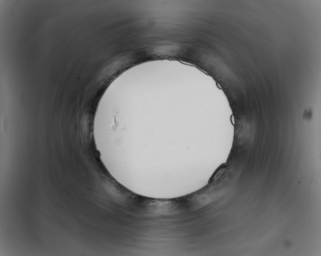 X0000101180428200807250944