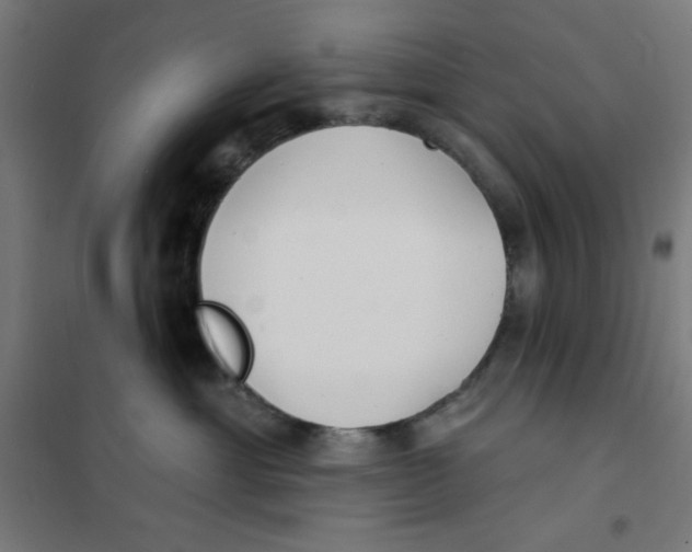 X0000101180429200807250944