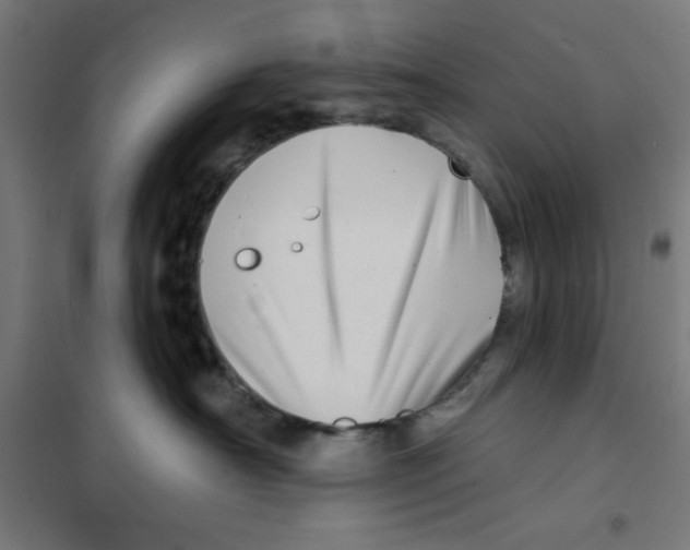 X0000101180430200807250944