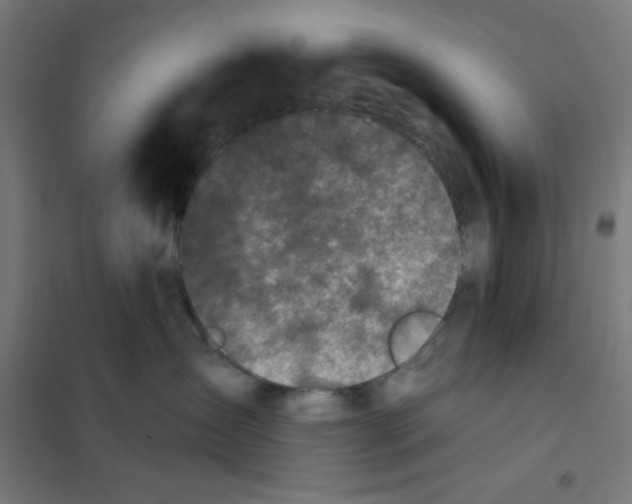 X0000101180431200807250944