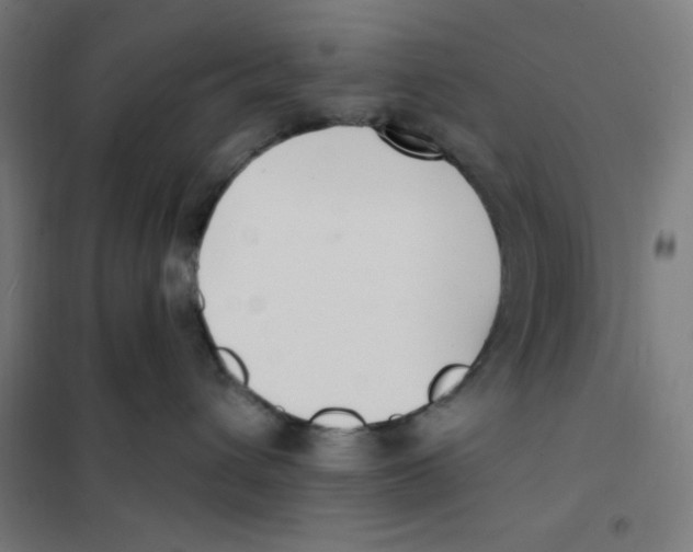 X0000101180432200807250944