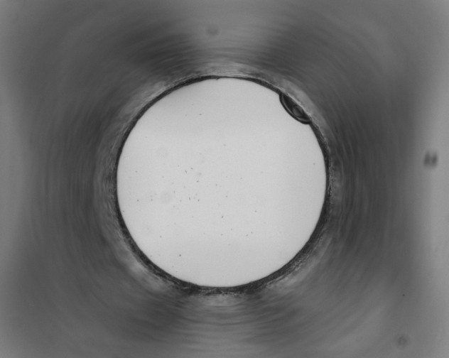 X0000101180433200807250943