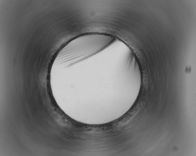 X0000101180434200807250943