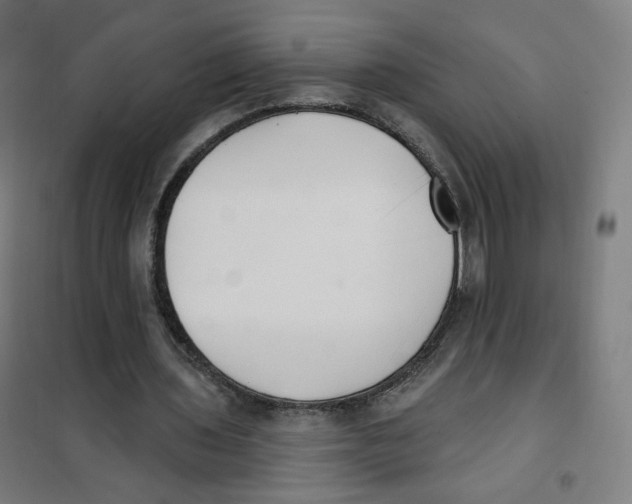 X0000101180435200807250943