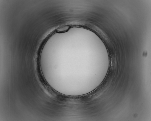 X0000101180436200807250943