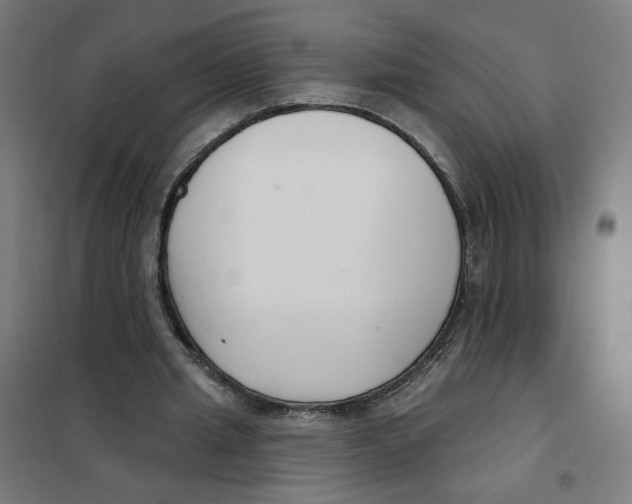 X0000101180437200807250943