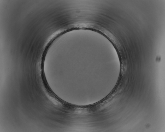 X0000101180438200807250943