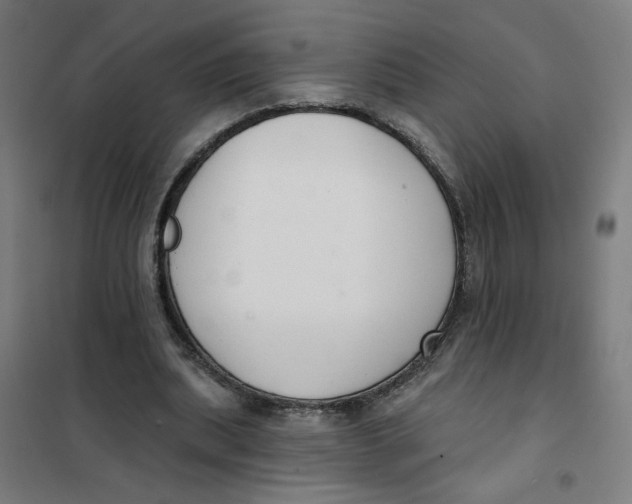 X0000101180439200807250943