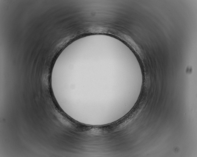 X0000101180441200807250943