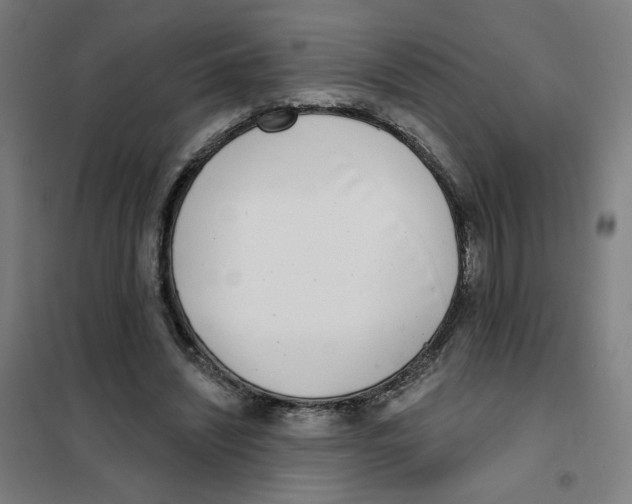 X0000101180444200807250943