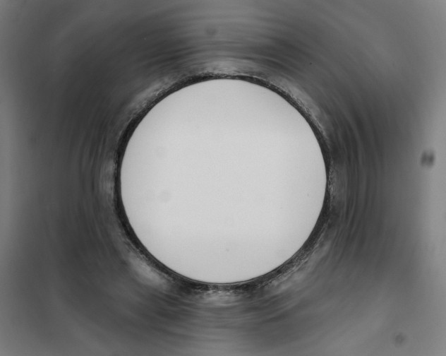 X0000101180445200807250943