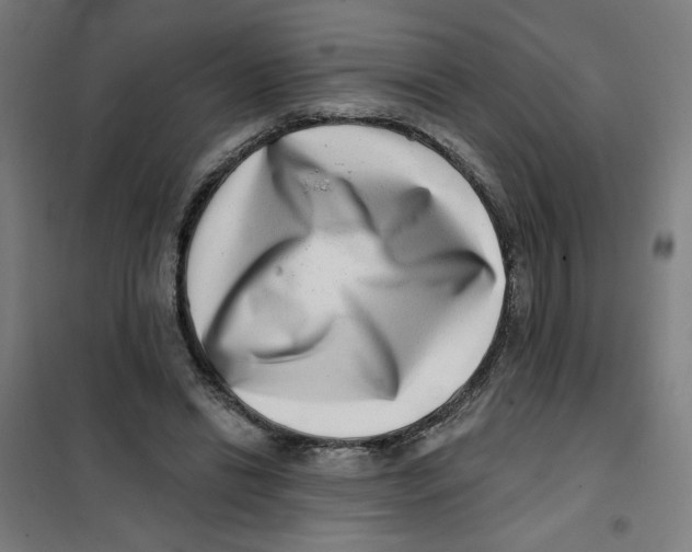 X0000101180446200807250943