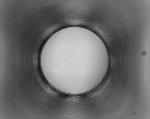 X0000101180447200807250943