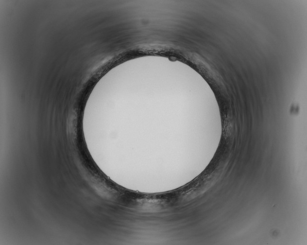 X0000101180448200807250943