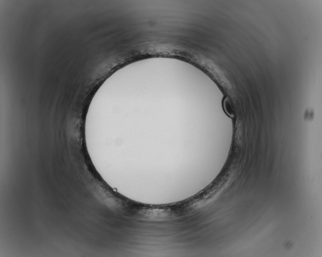 X0000101180449200807250943