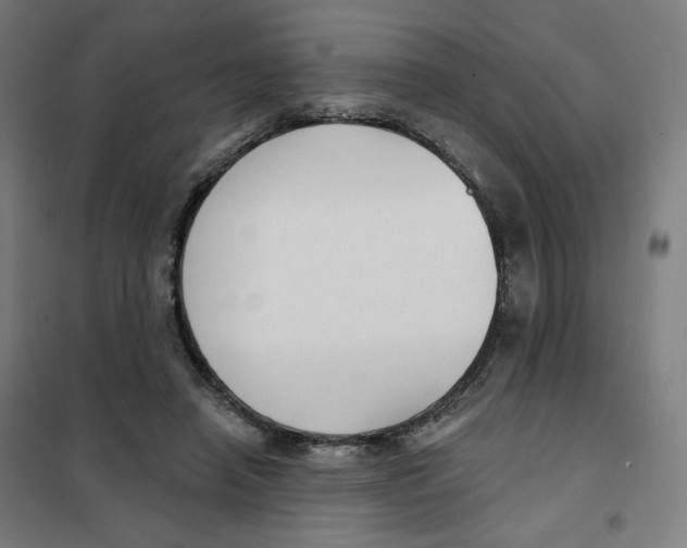 X0000101180450200807250943