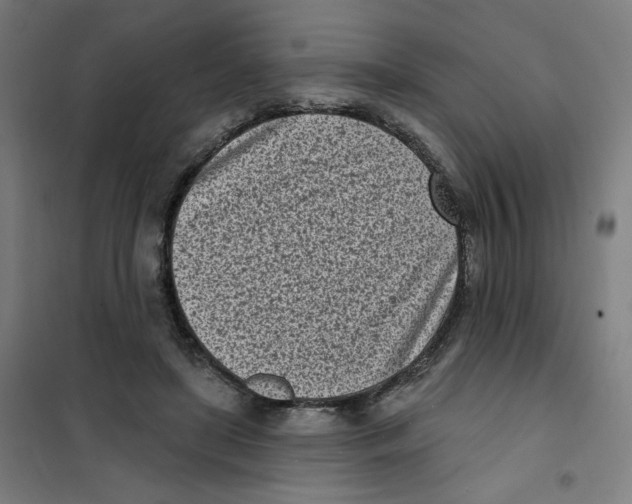 X0000101180451200807250943