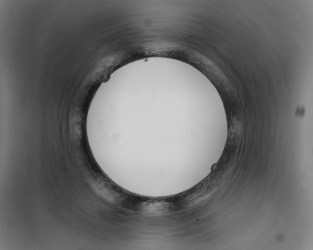 X0000101180452200807250943