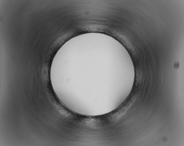 X0000101180453200807250943