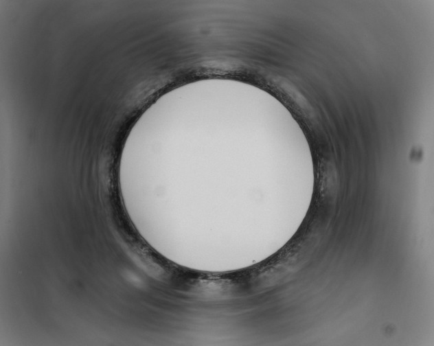 X0000101180455200807250943